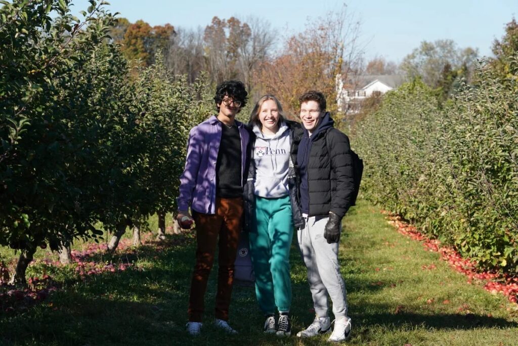 Apple picking 10
