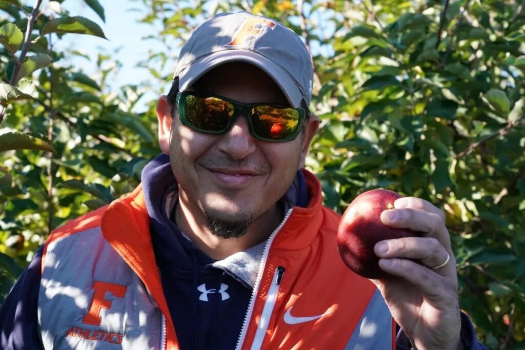 Apple picking 11