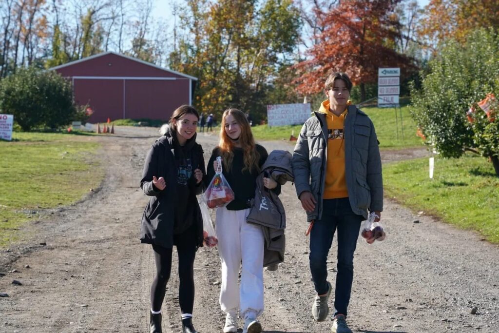 Apple picking 7