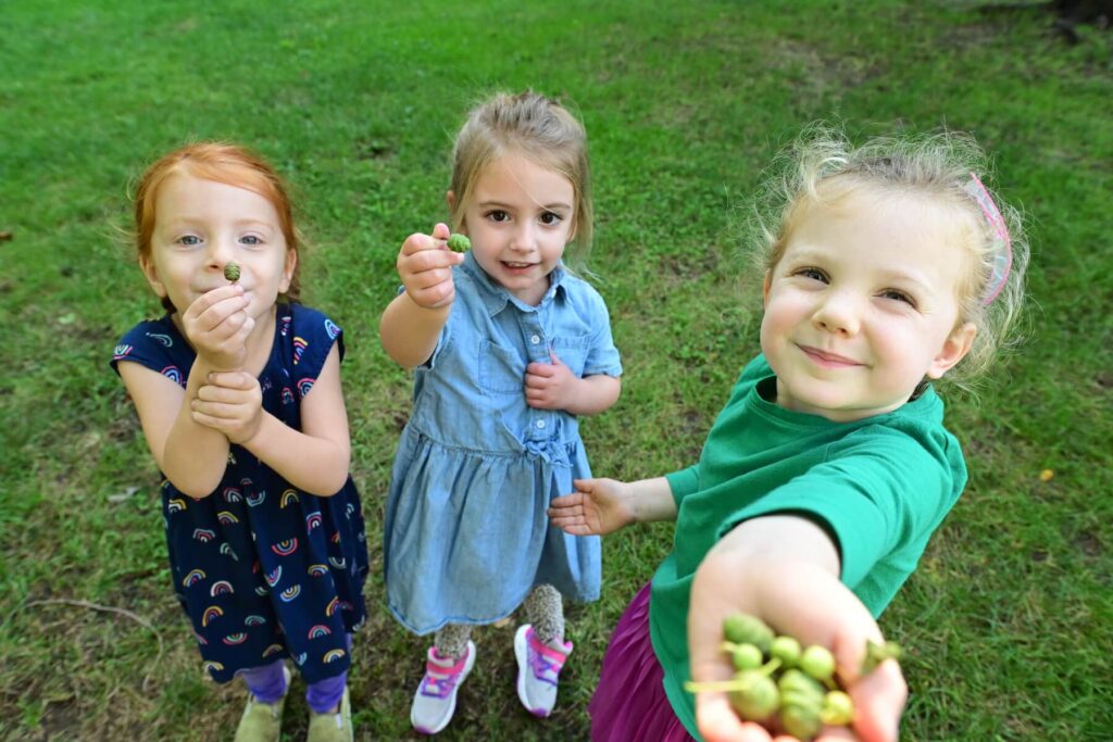 Ethical Culture Fieldston School All School Feel Good Photos 15