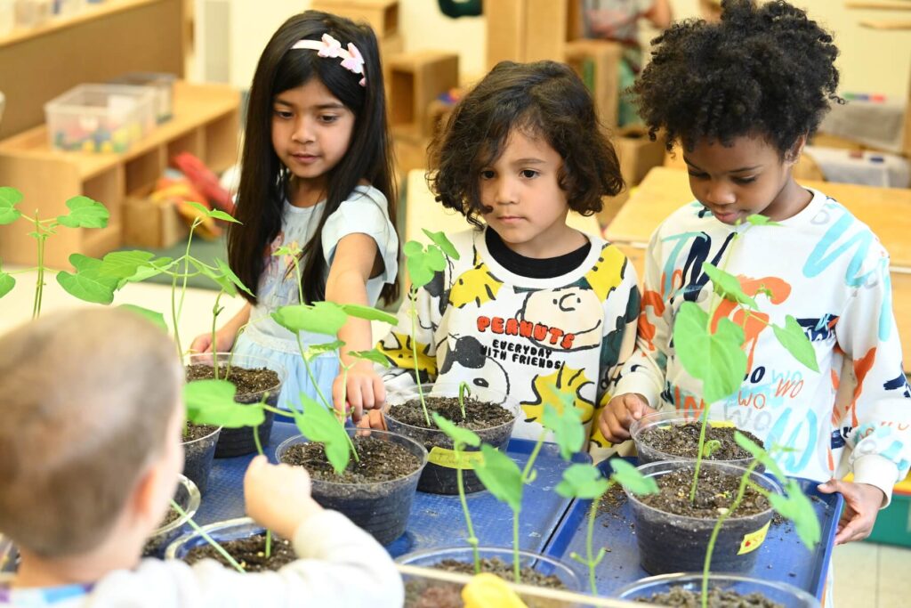 Ethical Culture Fieldston School All School This Month in Feel Good Photos 6