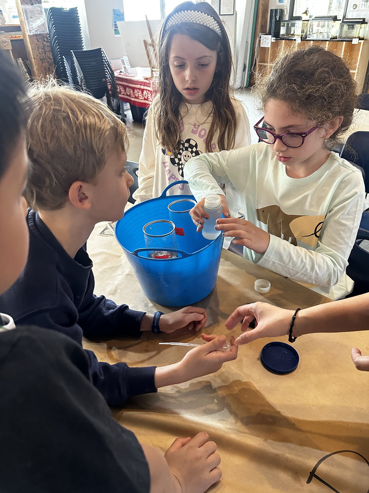 Ethical Culture Fieldston School Ethical Culture Hands On Learning Takes Center Stage for Ethical Culture Students This Fall 4