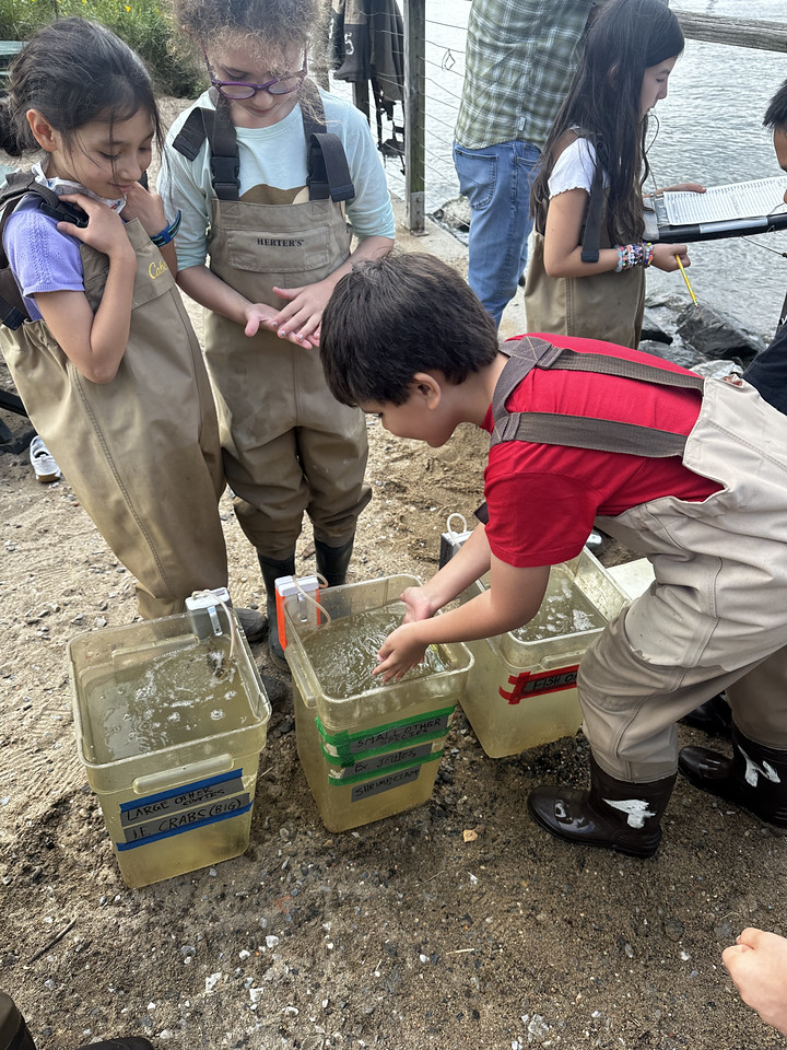 Ethical Culture Fieldston School Ethical Culture Hands On Learning Takes Center Stage for Ethical Culture Students This Fall 8 1