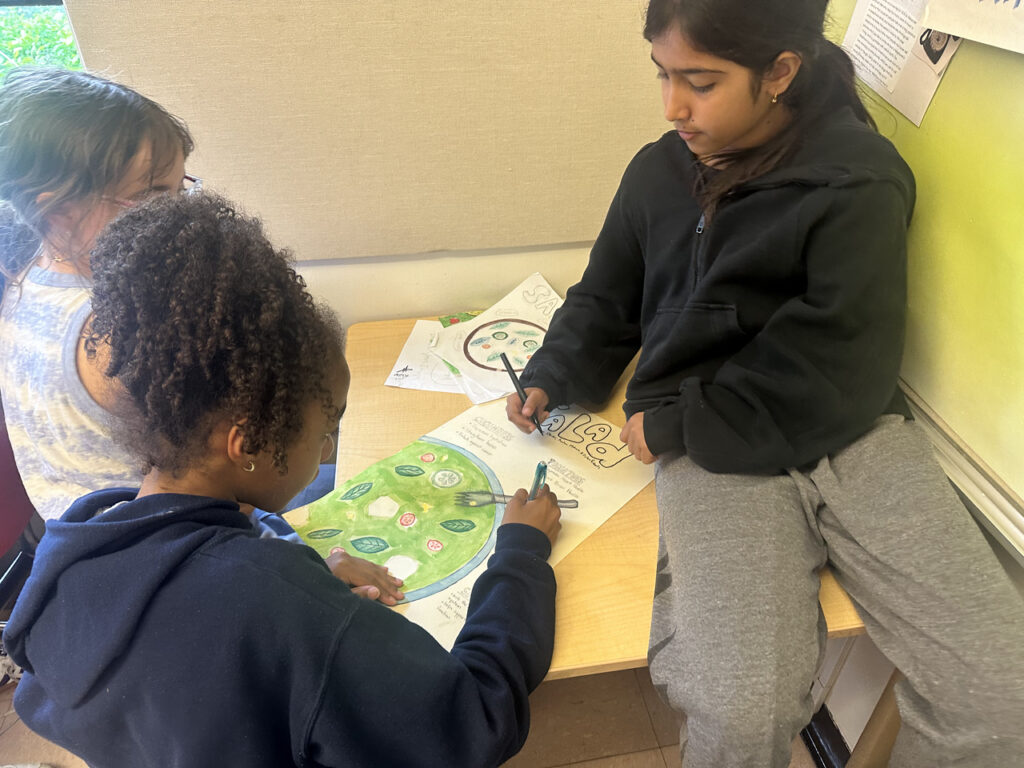 Ethical Culture Fieldston School Fieldston Lower 5th Grade Shark Tank Project Challenges Students to Work Together 0