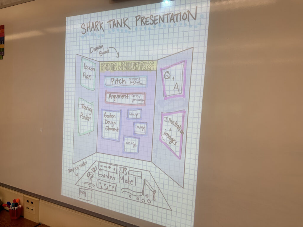 Ethical Culture Fieldston School Fieldston Lower 5th Grade Shark Tank Project Challenges Students to Work Together 10