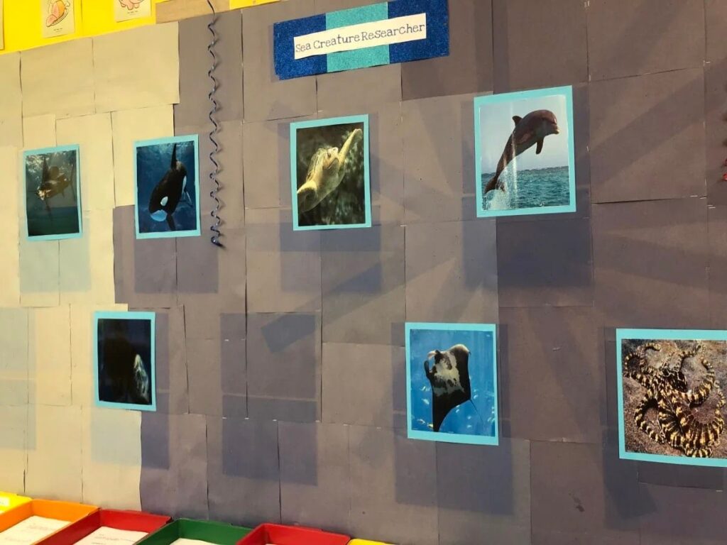Bulletin board with photos of different sea creatures