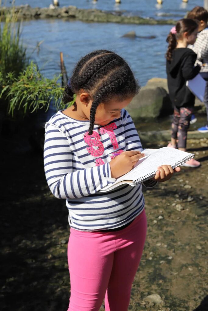 fieldston lower 2nd graders hudson river 5