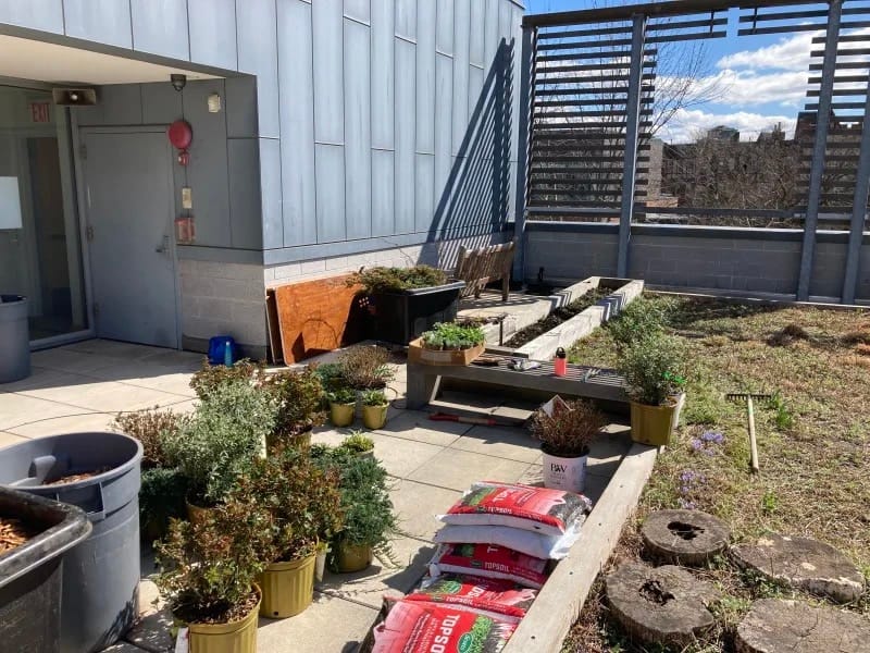 middle school green roof 1