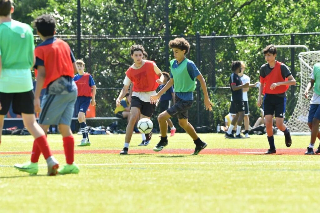 pre season 8